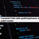 CSS animations scaleX, scaleY, and transform yield issues coding filters